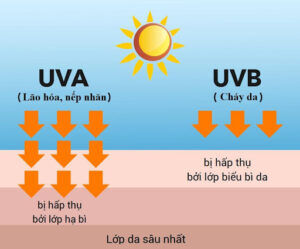 tia UV 