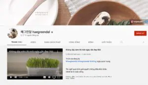 5 kênh Youtube đẹp mãn nhãn và đậm chất thơ giúp chữa lành 