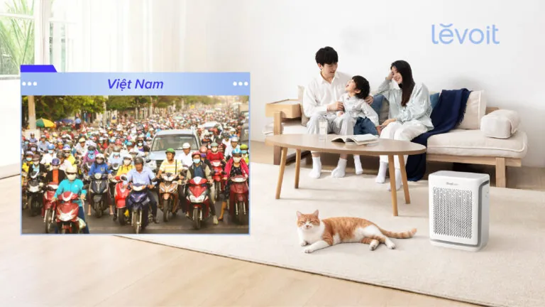 Levoit Bảo Vệ Sức Khỏe Khỏi Ô Nhiễm Không Khí Từ Đường Phố