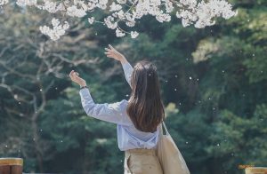 Mushin - Khi Tâm Trí Ngừng Ồn Ào, Con Người Bắt Đầu Phản Ứng Thông Minh Hơn