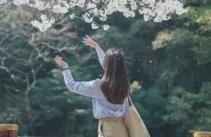 Mushin - Khi Tâm Trí Ngừng Ồn Ào, Con Người Bắt Đầu Phản Ứng Thông Minh Hơn