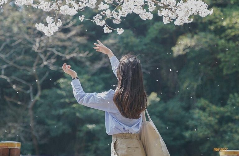 Mushin - Khi Tâm Trí Ngừng Ồn Ào, Con Người Bắt Đầu Phản Ứng Thông Minh Hơn