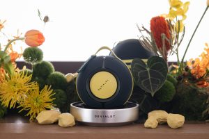 Devialet Kết Hợp Cùng Front Row Mang Đến Bữa Tiệc Mùa Hè “Mania Summer” Trên Du Thuyền Siêu Sang